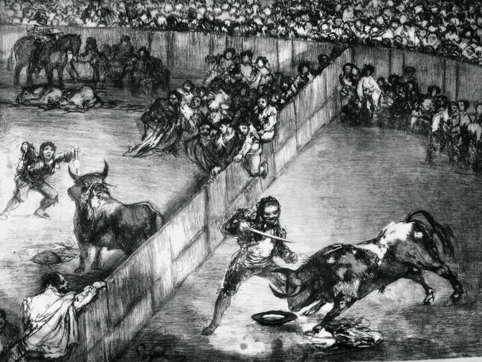 Los Toros de Burdeos